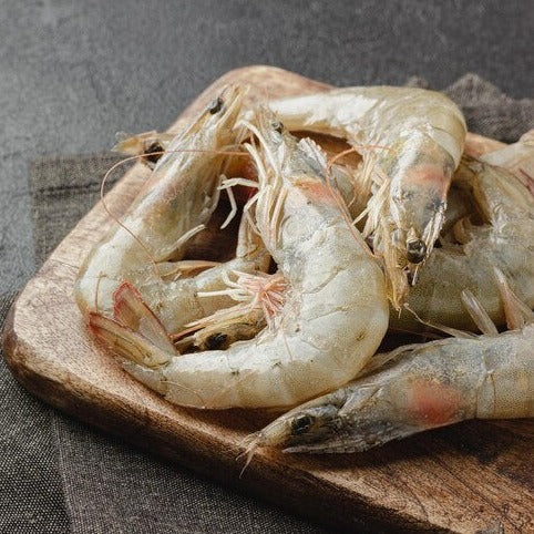 fresh shrimps prawns