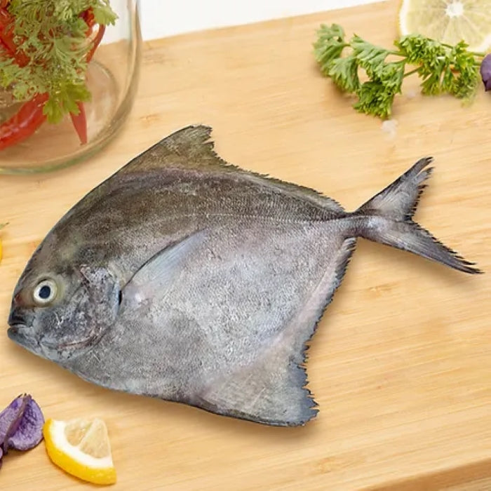 Fresh Black Pomfret